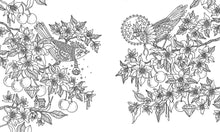 Load image into Gallery viewer, Jewelry Box Coloring Book