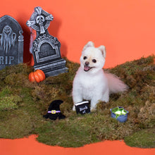 Load image into Gallery viewer, Witching Hour Small Dog Toy Set (Pets)